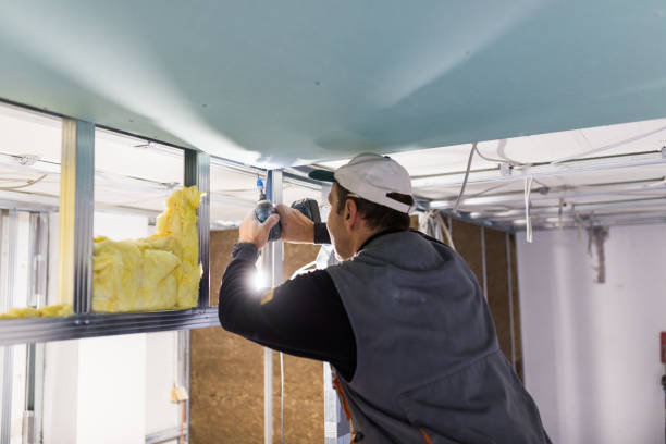 Best Radiant Barrier Insulation  in Goulds, FL